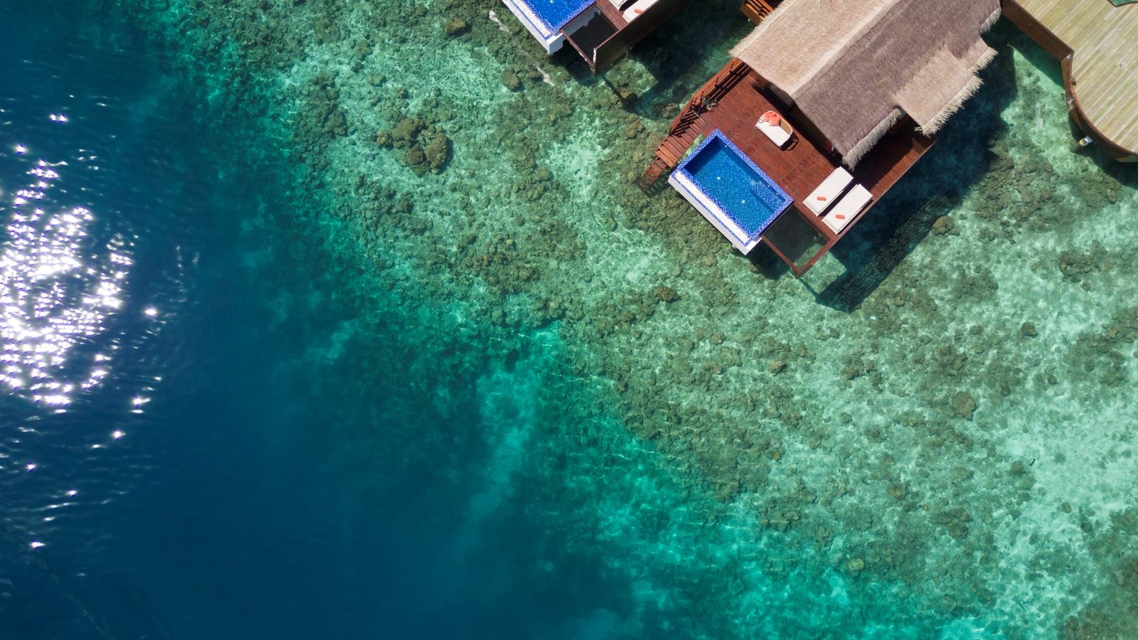 rooms-reef-pool-water-villa