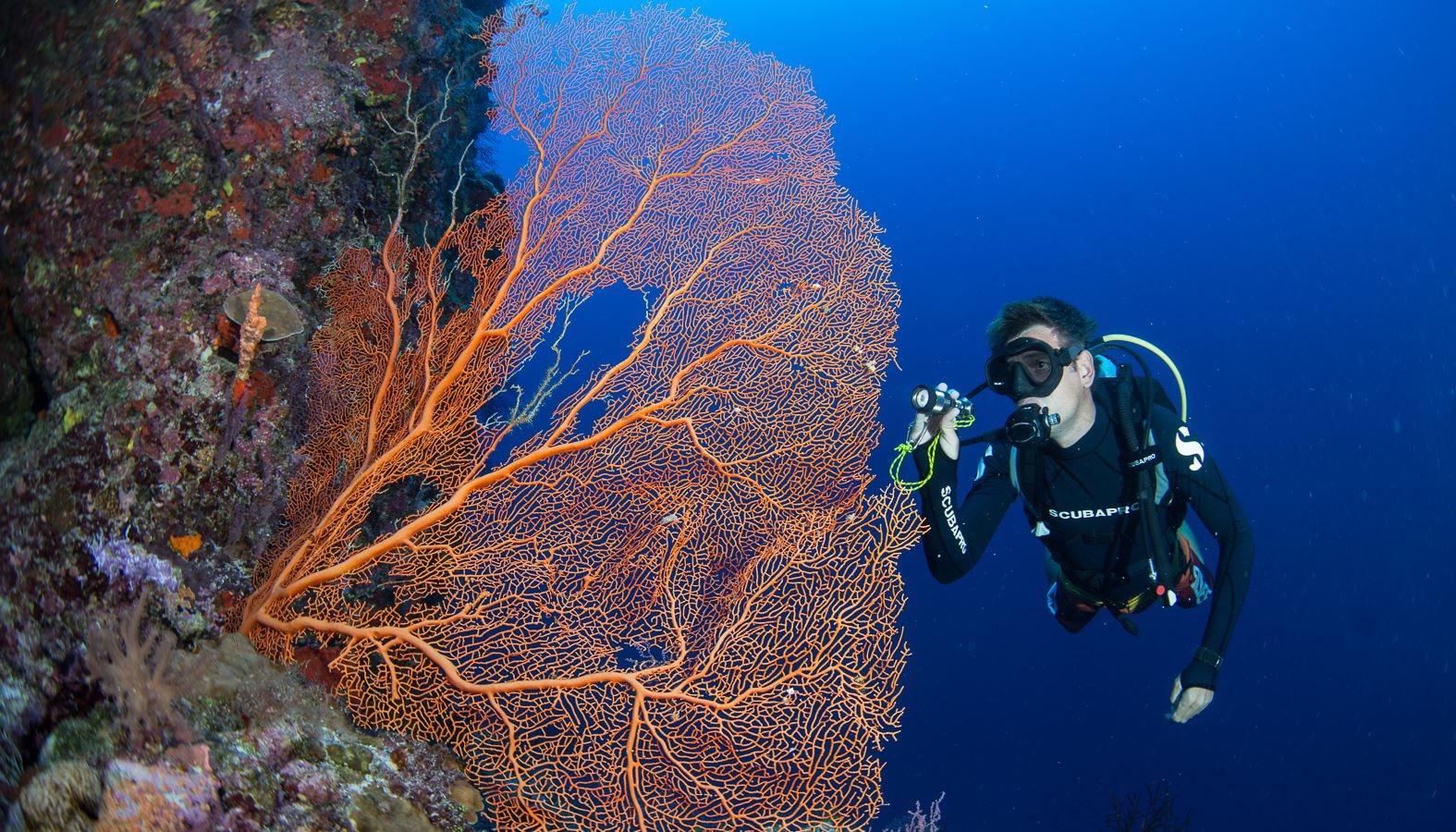 water-park-water-park