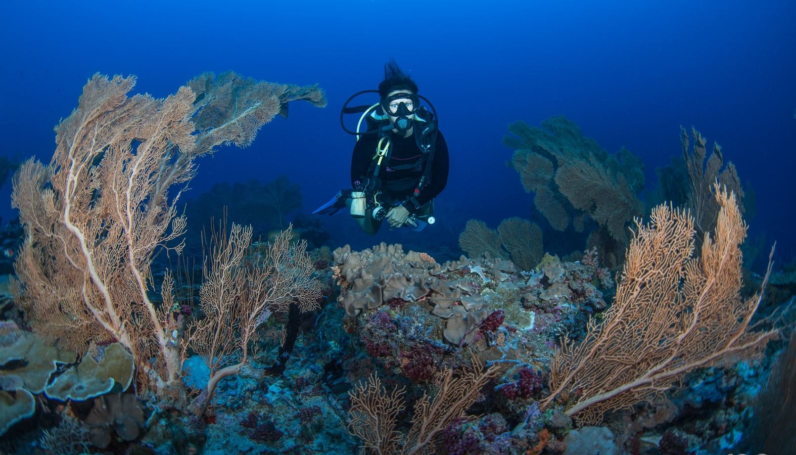 water-park-water-park