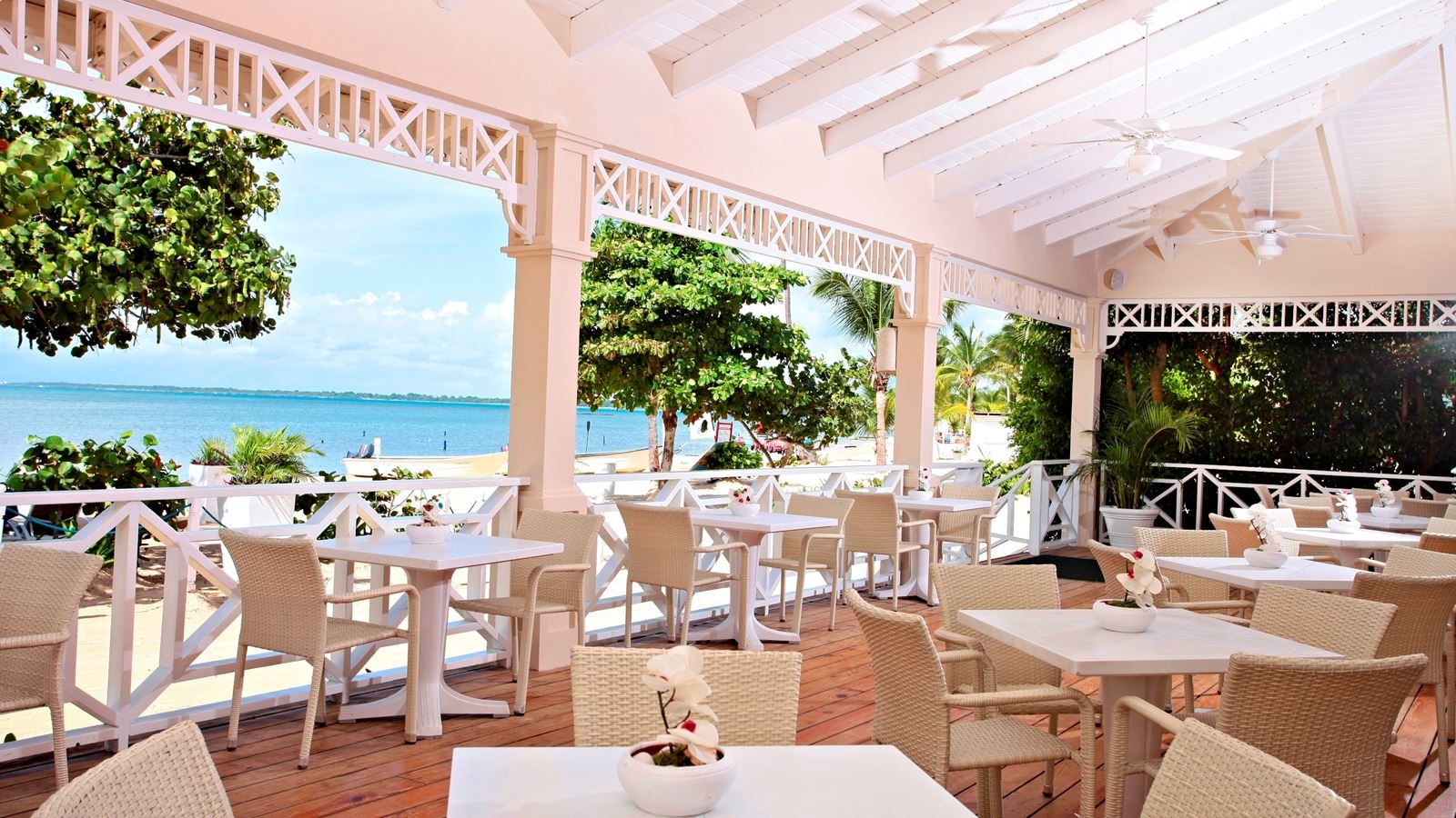 restaurants-snack-night-burger