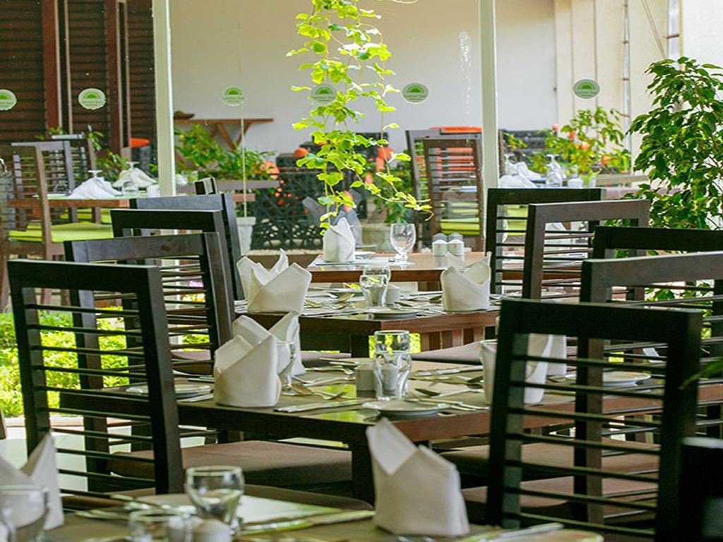 restaurants-lemon-sun