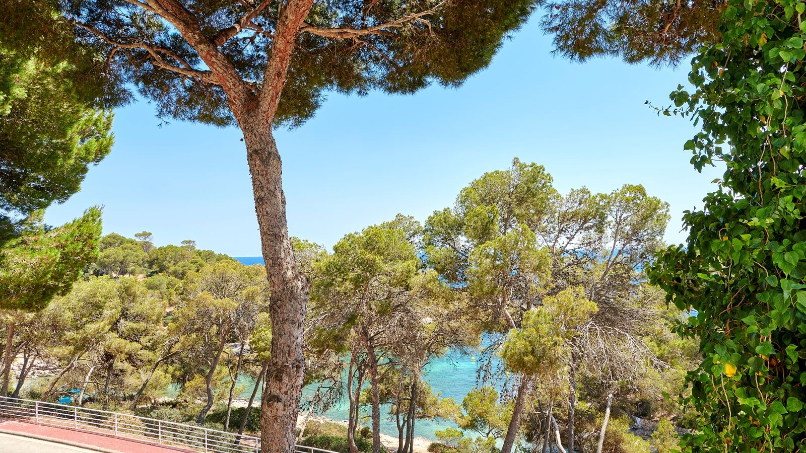 rooms-junior-suite-sea-view