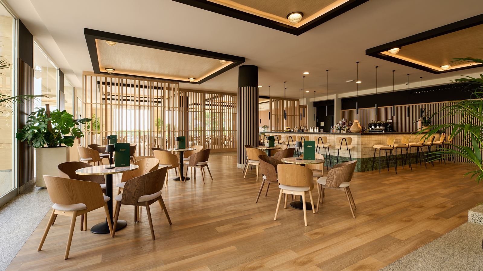 bars-ópalo-lounge-bar