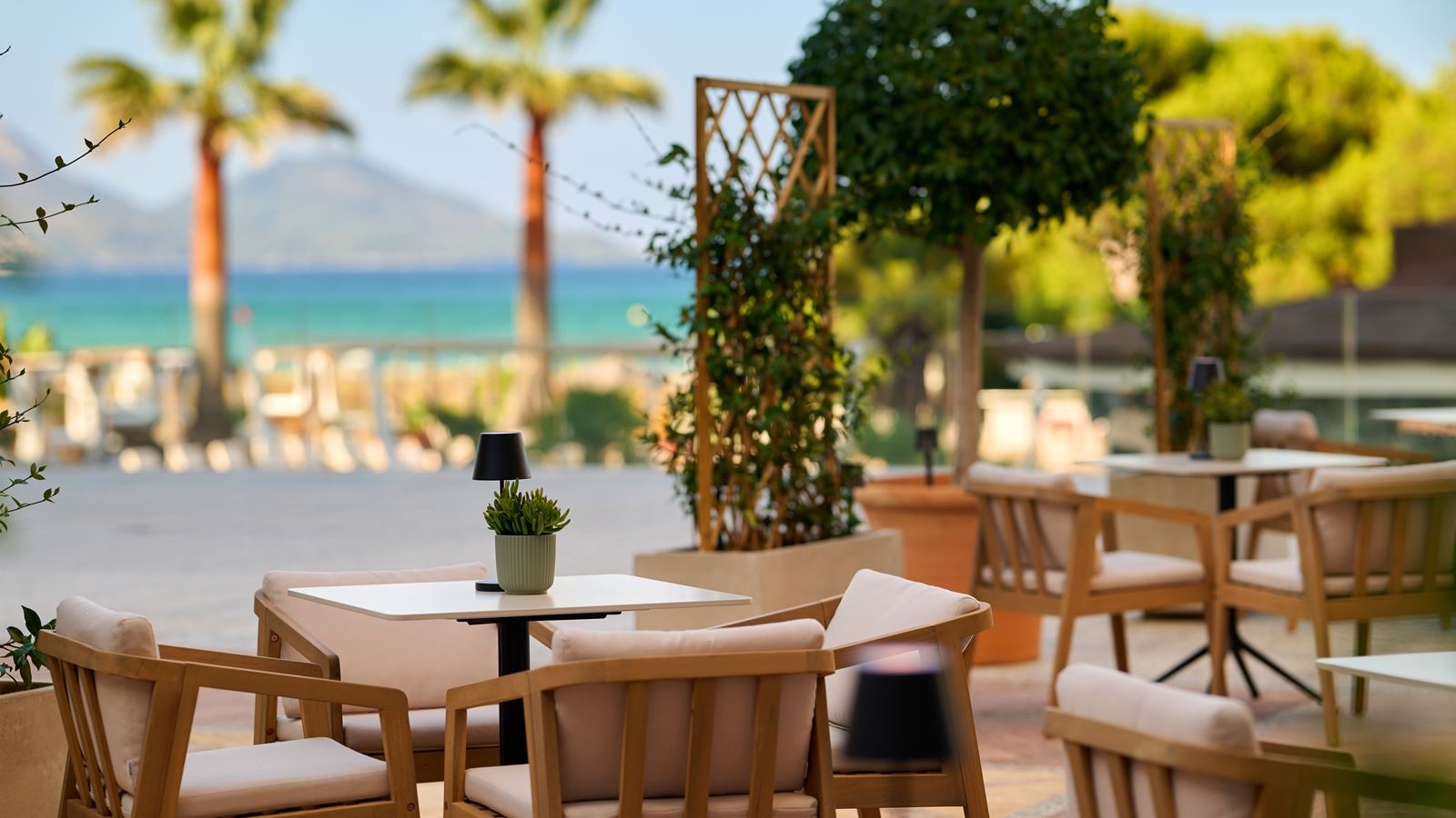 bars-ópalo-lounge-bar