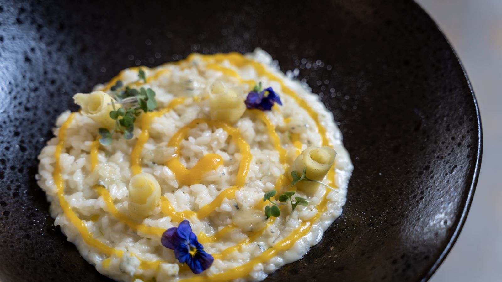 restaurants-losteria