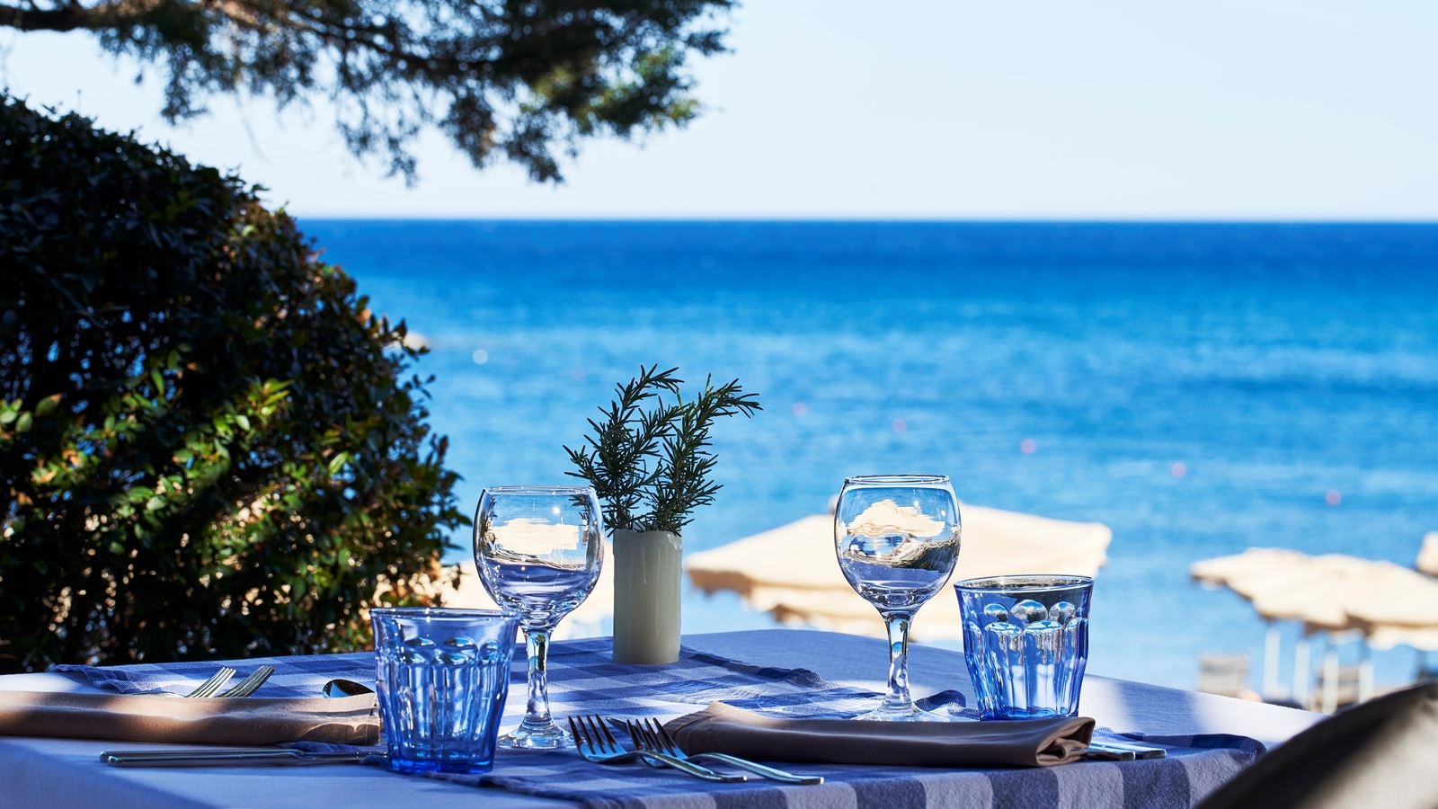 restaurants-diogenis-bbq-theme-restaurant