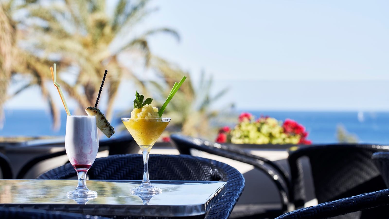 bars-main-bar-apollon