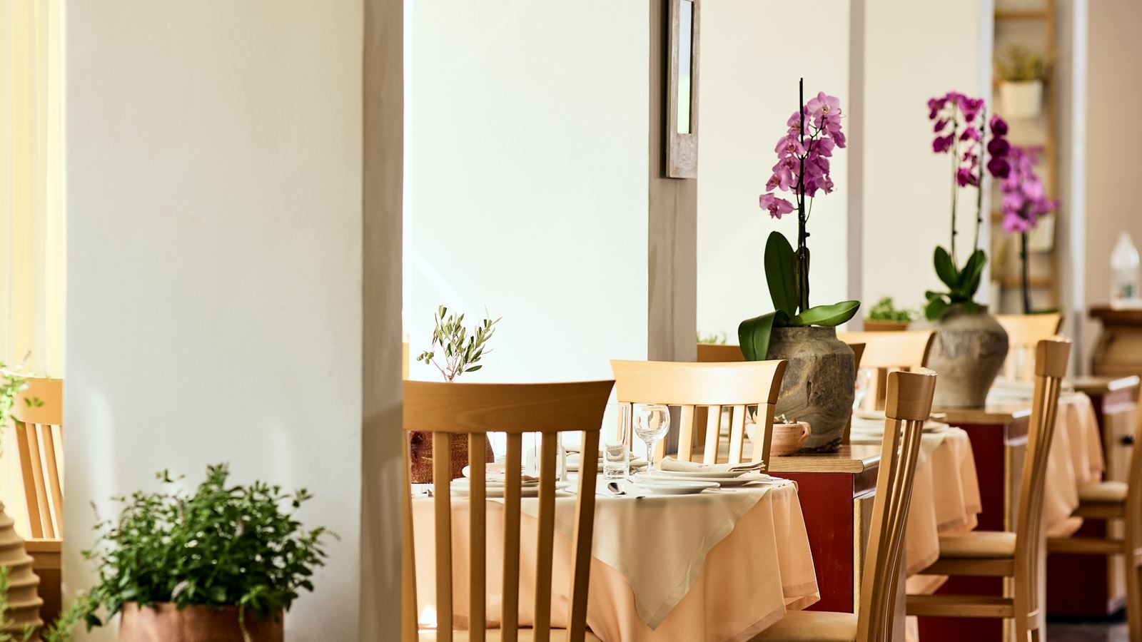 restaurants-main-restaurant