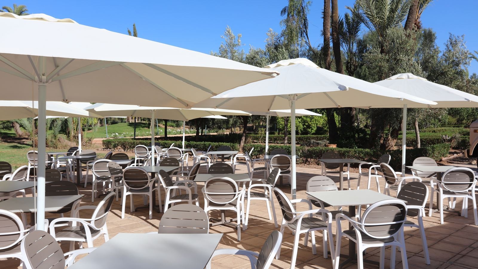 restaurants-snack-bar-founty