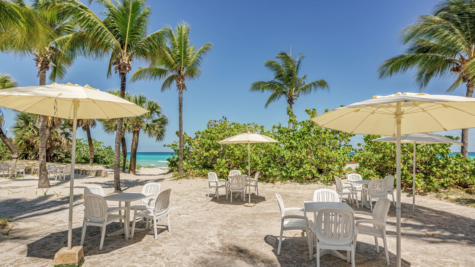 bars-beach-bar-solymar