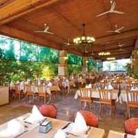 Restaurace preview