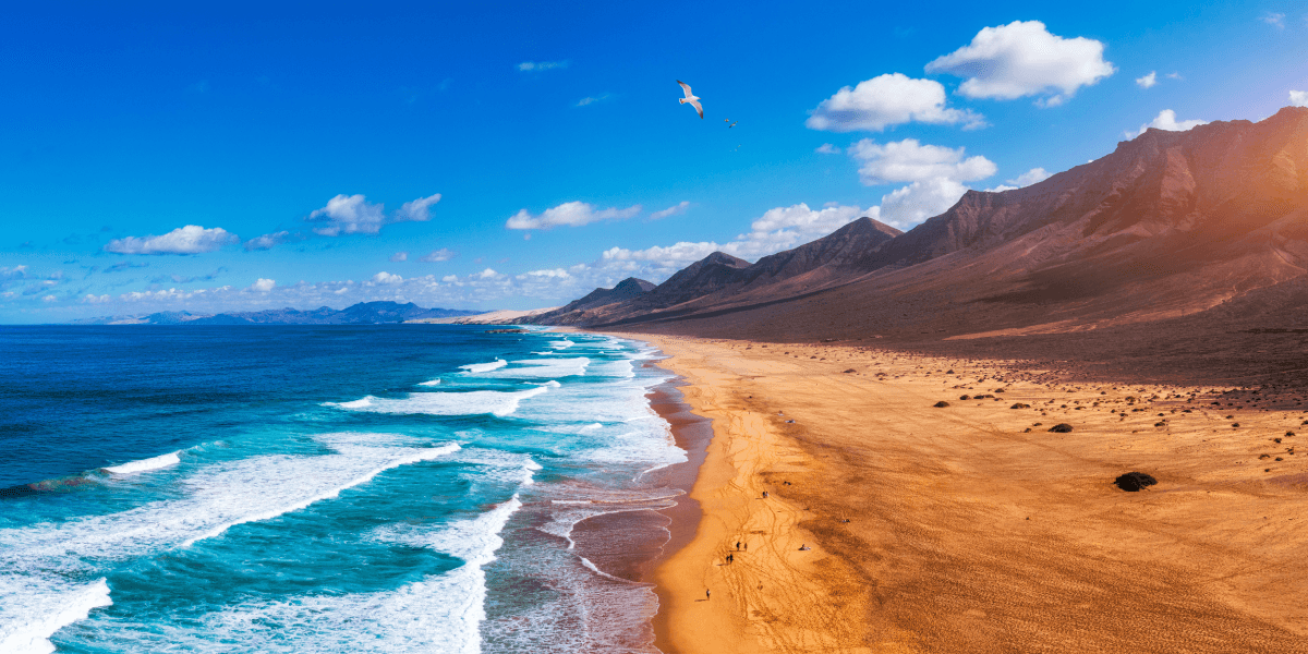 Dovolená v Španělsku: 5 důvodů proč strávit dovolenou na Fuerteventuře