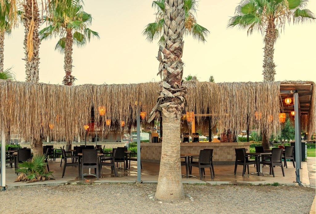 bars-beach-bar