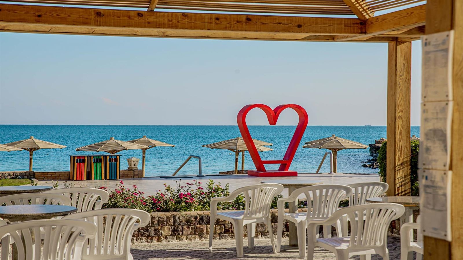 bars-siesta-pool-bar