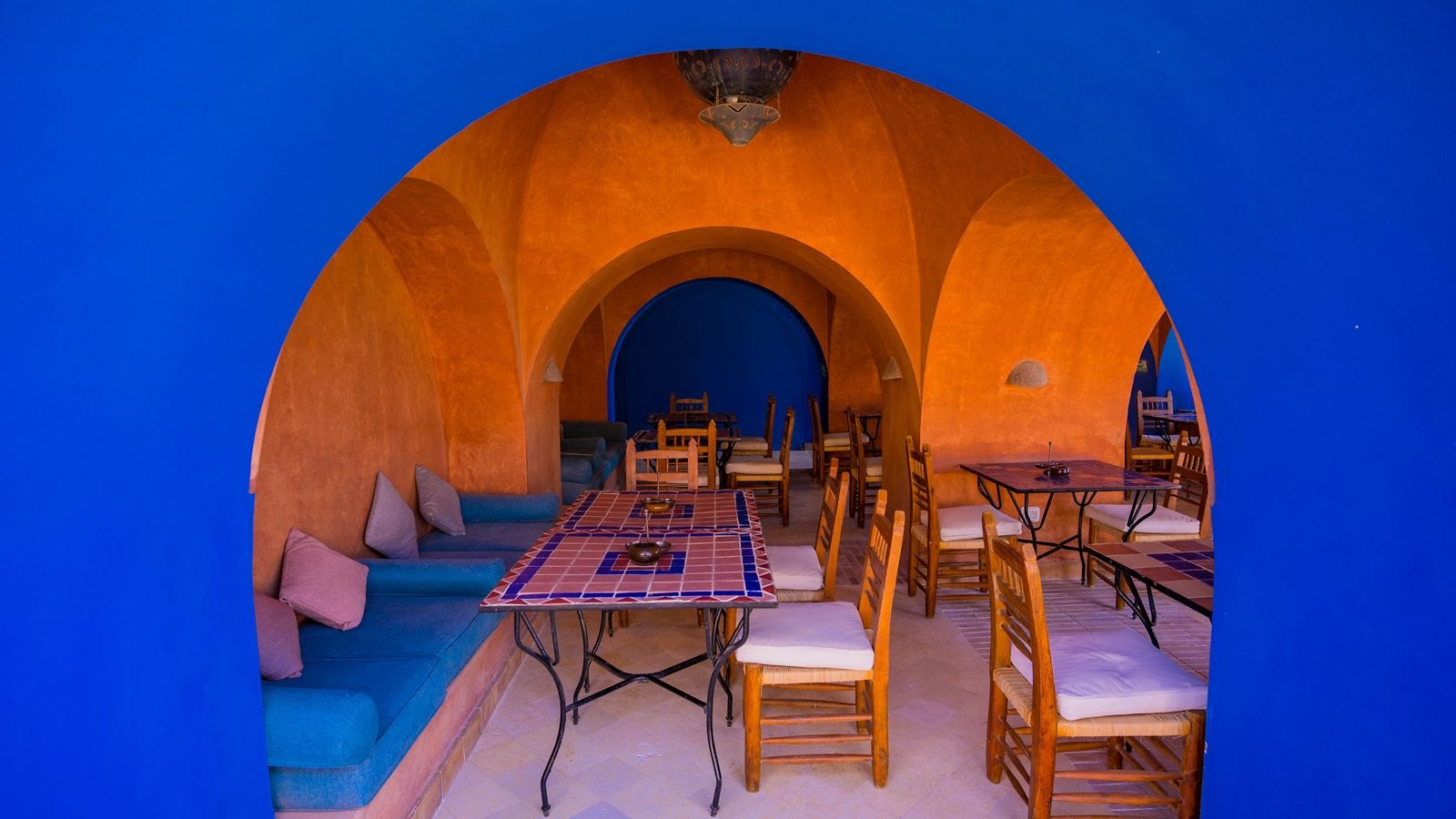 restaurants-shark-bites