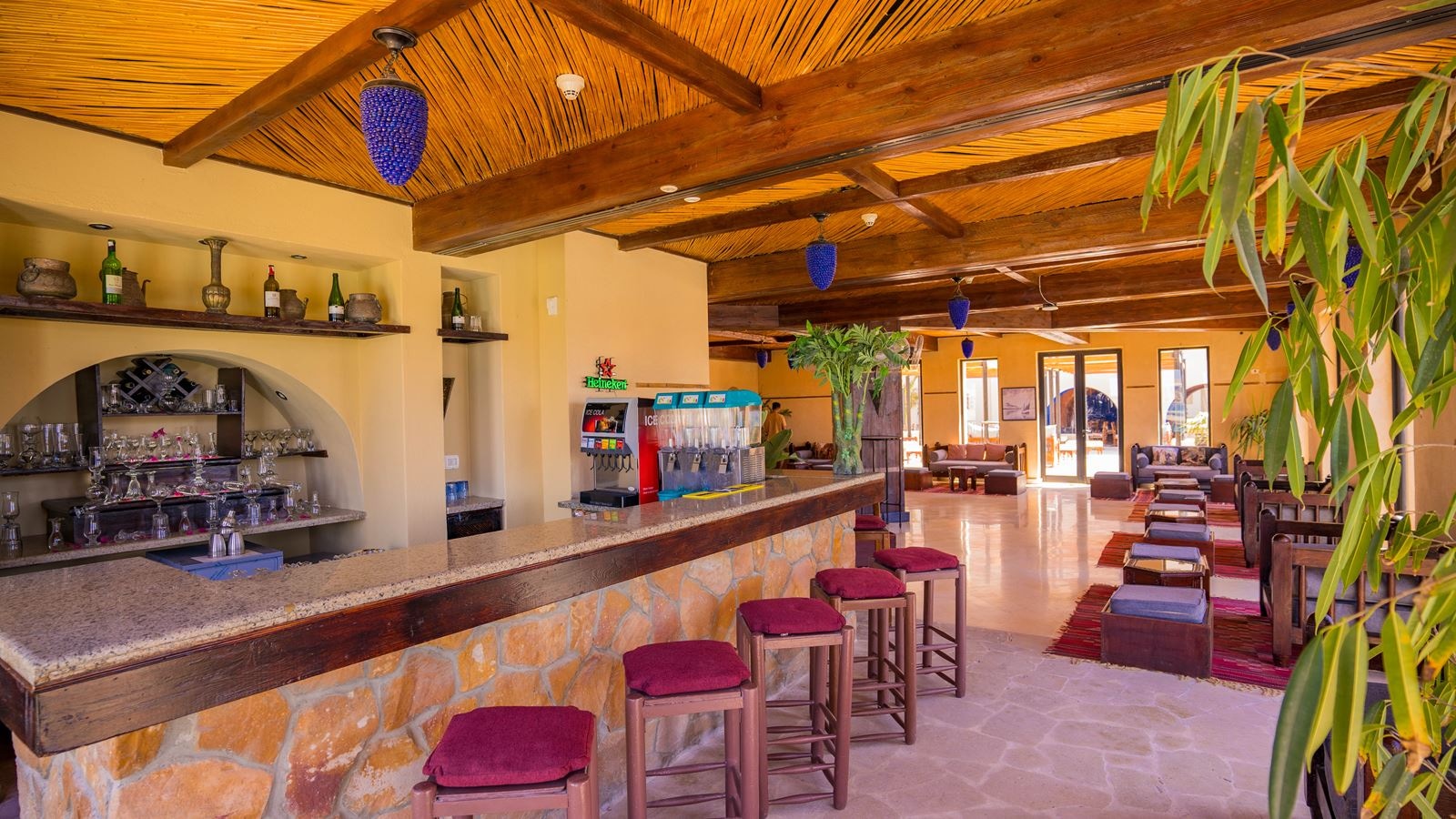 restaurants-50-barlate-snacks